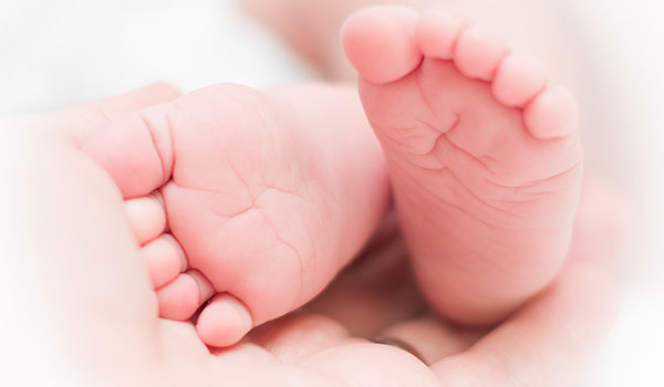 Florida Moms for America Supports SB 146: Fetal and Infant Mortality Reduction