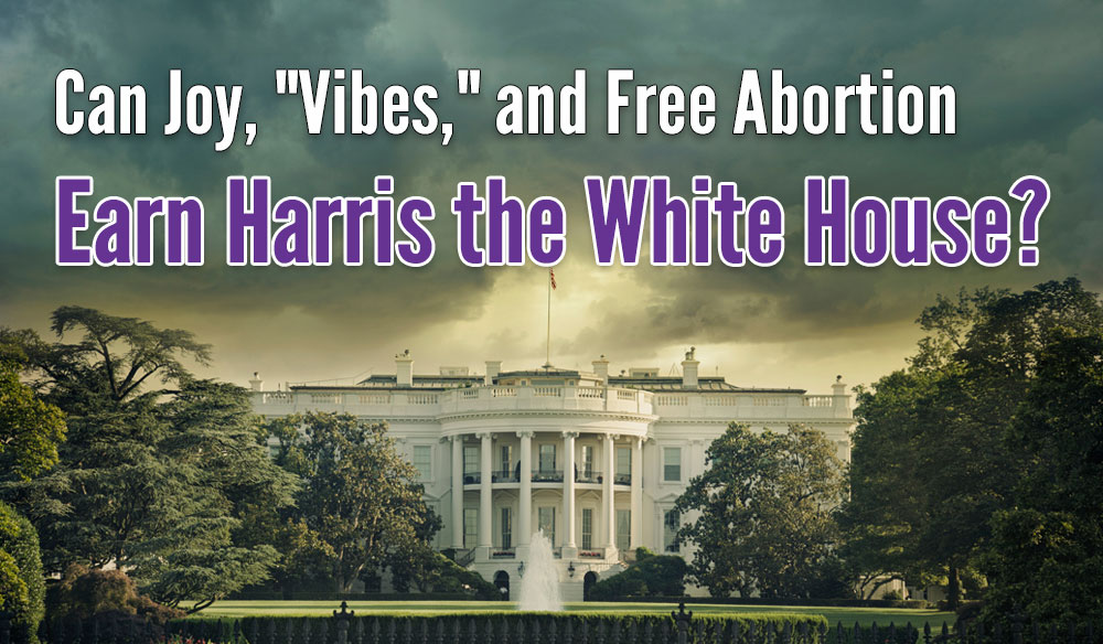 Can-Earn-Harris-the-White-House Can Joy, "Vibes," and Free Abortion Earn Harris the White House? - Moms for America Newsletter Blog Article